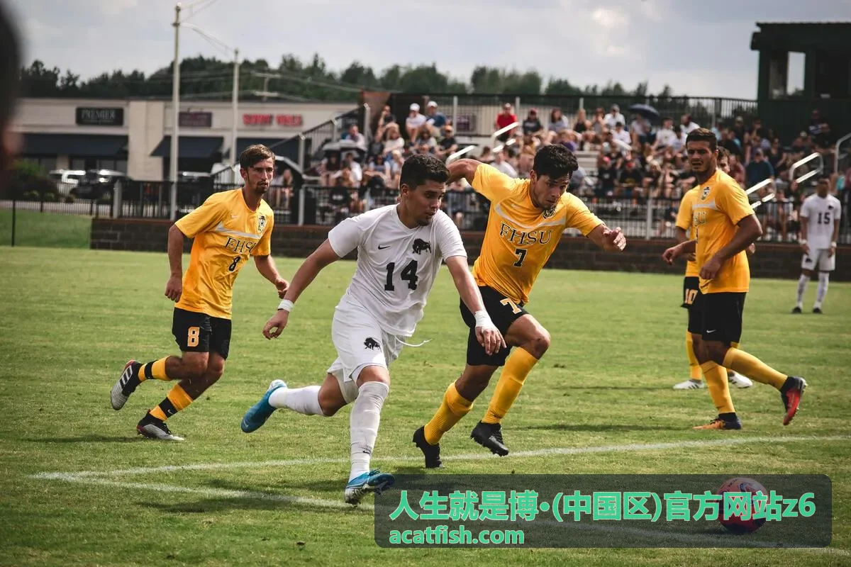 企业资讯频道内容更新计划说明