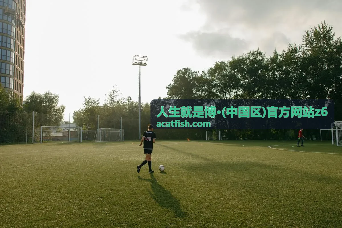 数据洞察在企业管理中的落地方法